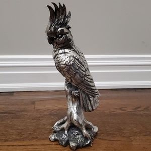 Silver Parrot Accent